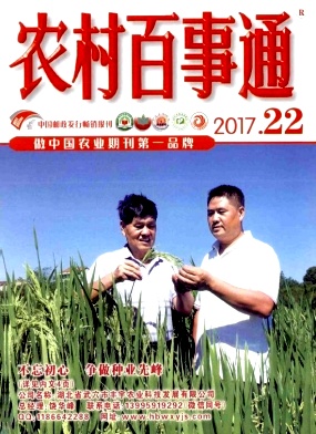 rͨ