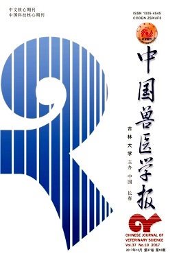 Ї(gu)Ft(y)W(xu)(bo)