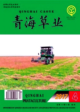 ຣݘI