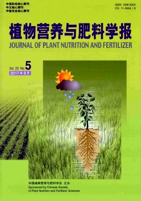 ֲIBcόW