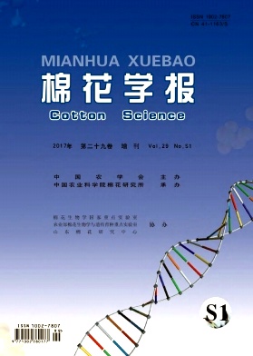 ޻W
