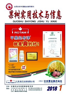 䌍ügcϢ