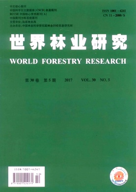 ֘Iо