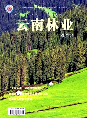 ֘I(y)