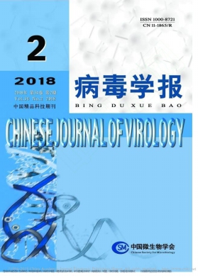 W(xu)(bo)