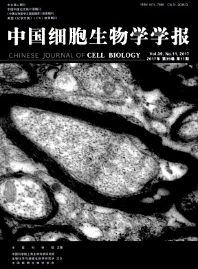 Ї(gu)(x)W(xu)W(xu)(bo)